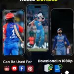 Cricket Reels Bundle